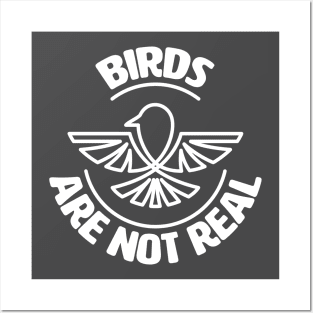 Birds Are Not Real. Conspiracy Theory. Bird Spies. Posters and Art